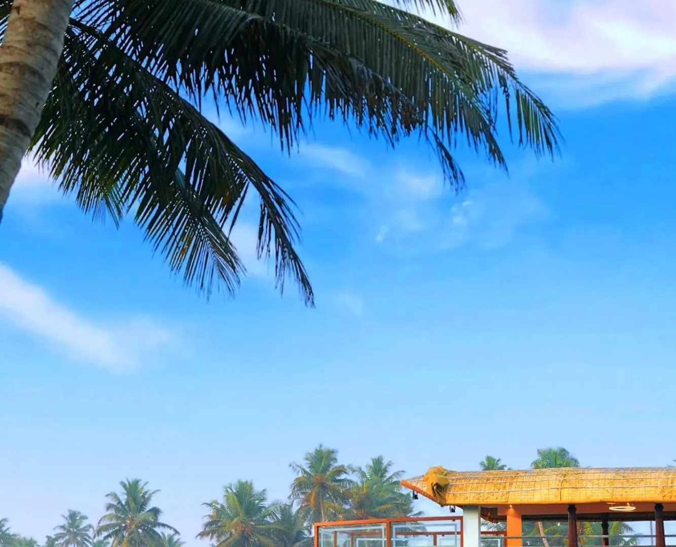 Indraprasthamlakecruise Alappuzha India